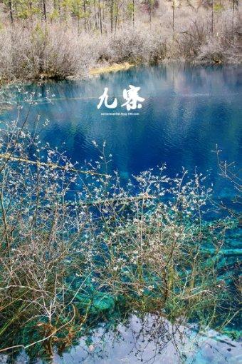 探索京城老字号的槽子糕您吃过吗?据说是北京一代小孩的童年回忆尽在红迪网